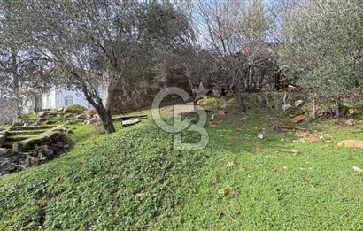 ÇANAKKALE AYVACIK YENİÇAM(KIZILYAR)'DA SATILIK MÜSTAKİL EV-ARSA