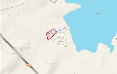 EVREN'DE KIZILIRMAK'A YAKIN 39 DÖNÜM *VERİMLİ* SATILIK TARLA