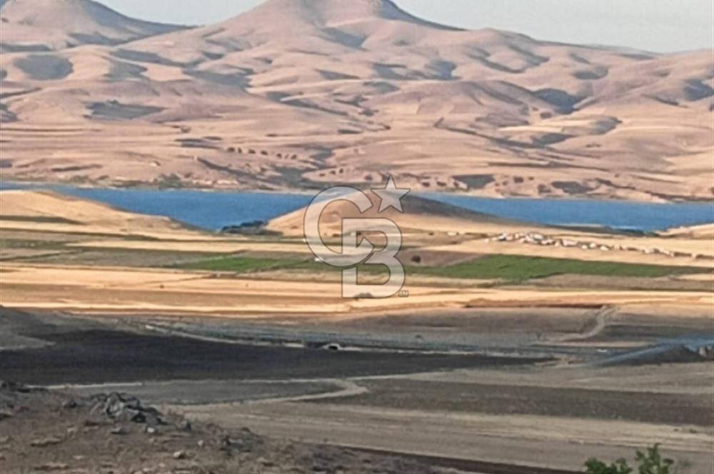 EVREN'DE KIZILIRMAK'A YAKIN 39 DÖNÜM *VERİMLİ* SATILIK TARLA