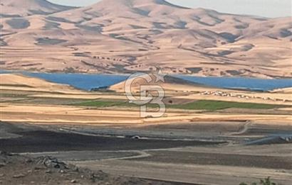 EVREN'DE KIZILIRMAK'A YAKIN 39 DÖNÜM *VERİMLİ* SATILIK TARLA