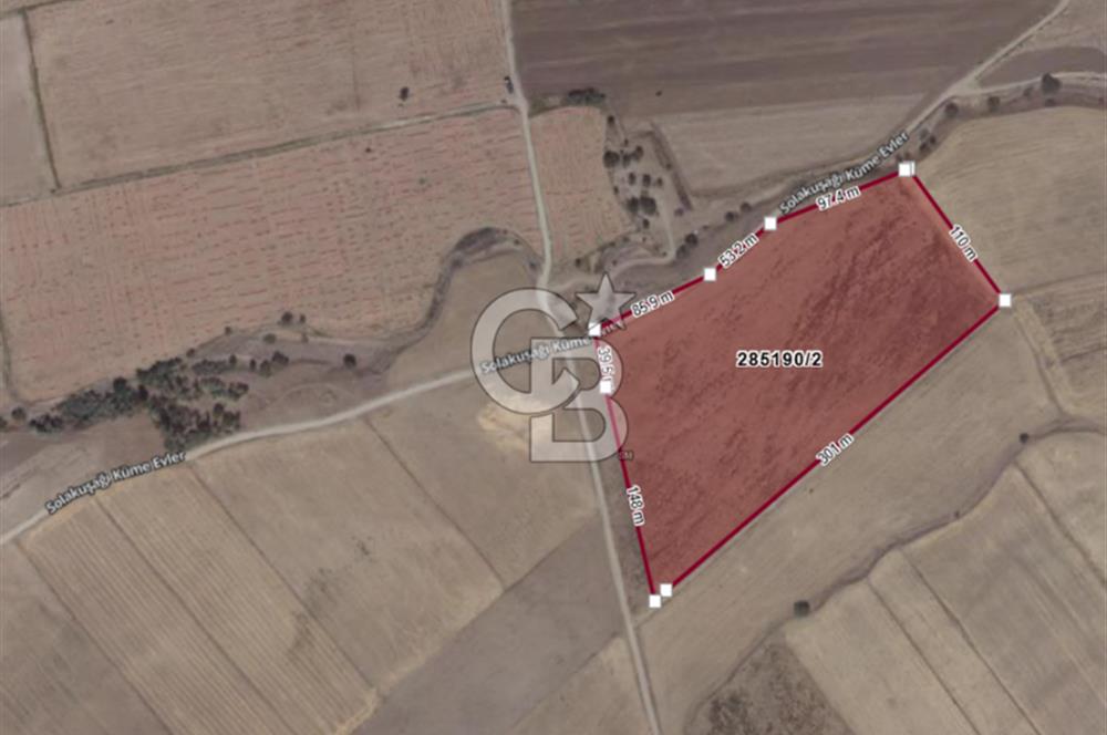 EVREN'DE KIZILIRMAK'A YAKIN 39 DÖNÜM *VERİMLİ* SATILIK TARLA