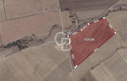 EVREN'DE KIZILIRMAK'A YAKIN 39 DÖNÜM *VERİMLİ* SATILIK TARLA