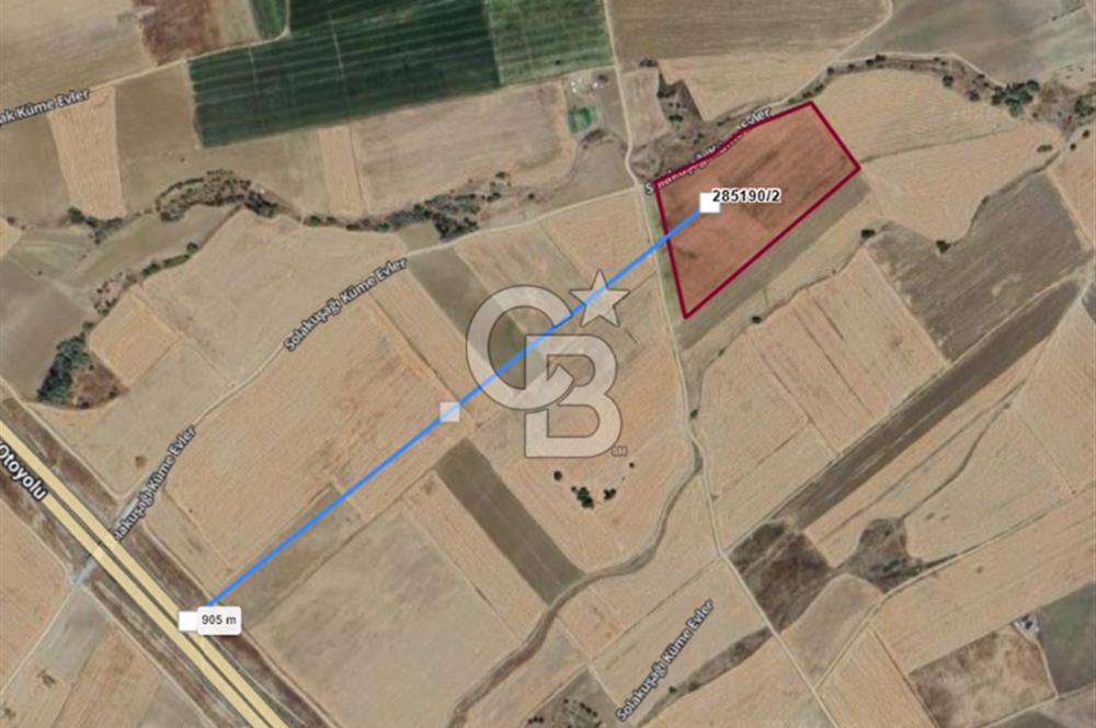 EVREN'DE KIZILIRMAK'A YAKIN 39 DÖNÜM *VERİMLİ* SATILIK TARLA