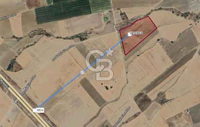 EVREN'DE KIZILIRMAK'A YAKIN 39 DÖNÜM *VERİMLİ* SATILIK TARLA