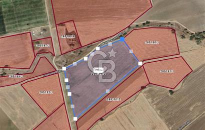 EVREN'DE KIZILIRMAK'A YAKIN 39 DÖNÜM *VERİMLİ* SATILIK TARLA