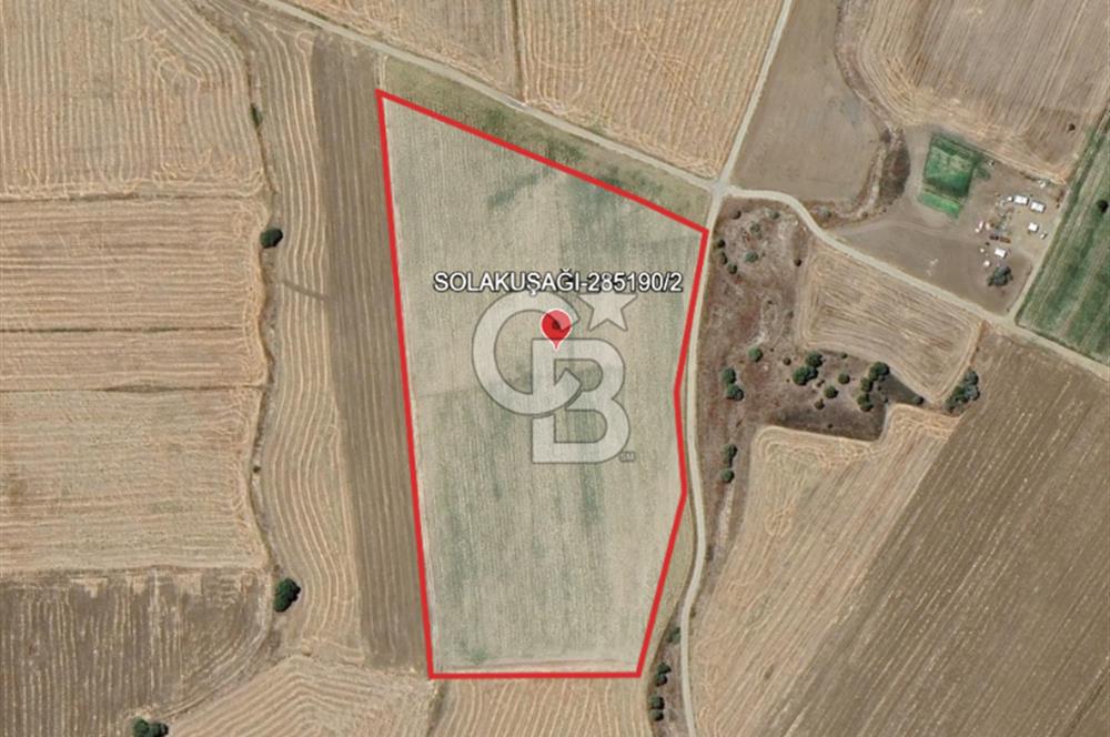 EVREN'DE KIZILIRMAK'A YAKIN 39 DÖNÜM *VERİMLİ* SATILIK TARLA