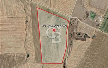 EVREN'DE KIZILIRMAK'A YAKIN 39 DÖNÜM *VERİMLİ* SATILIK TARLA