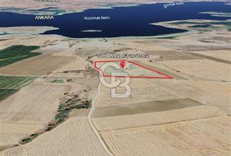 EVREN'DE KIZILIRMAK'A YAKIN 39 DÖNÜM *VERİMLİ* SATILIK TARLA - 9 - 333271