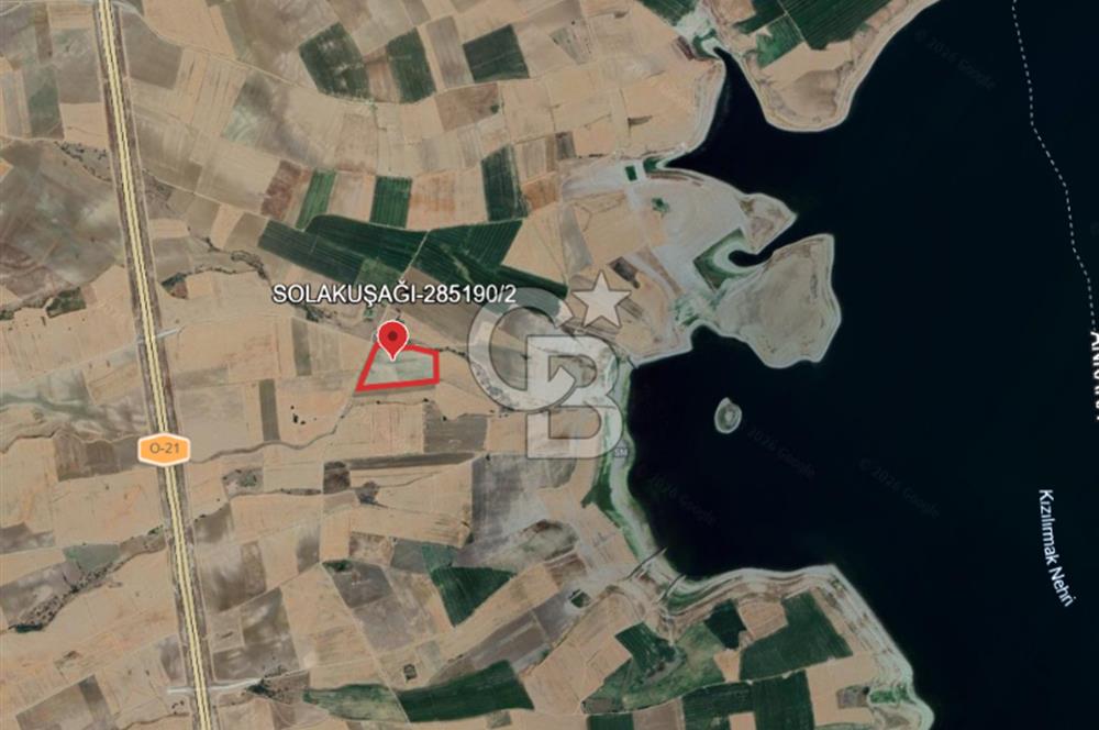 EVREN'DE KIZILIRMAK'A YAKIN 39 DÖNÜM *VERİMLİ* SATILIK TARLA