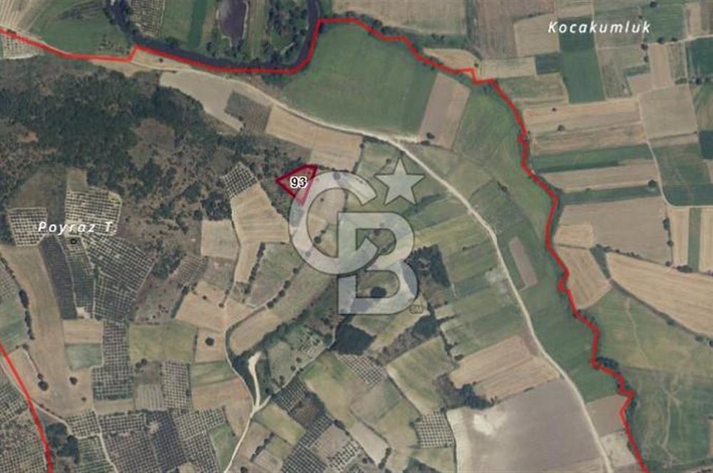 GÖKÇEKÖY'DE SATILIK TARLA | CB AMBIANCE