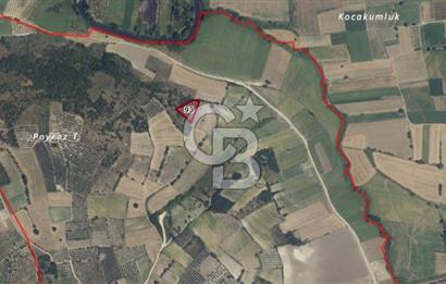 GÖKÇEKÖY'DE SATILIK TARLA | CB AMBIANCE