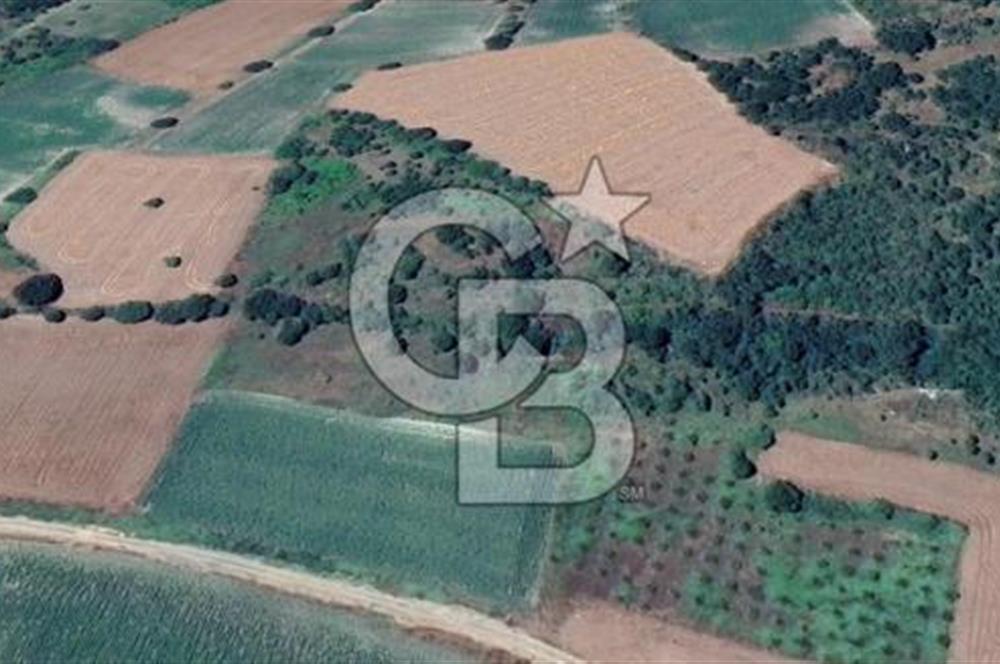 GÖKÇEKÖY'DE SATILIK TARLA | CB AMBIANCE