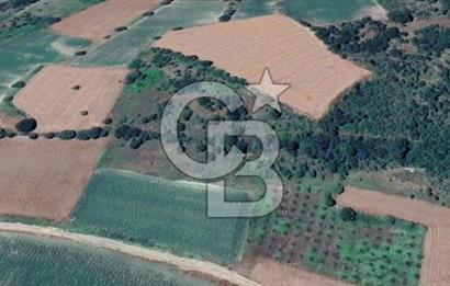 GÖKÇEKÖY'DE SATILIK TARLA | CB AMBIANCE