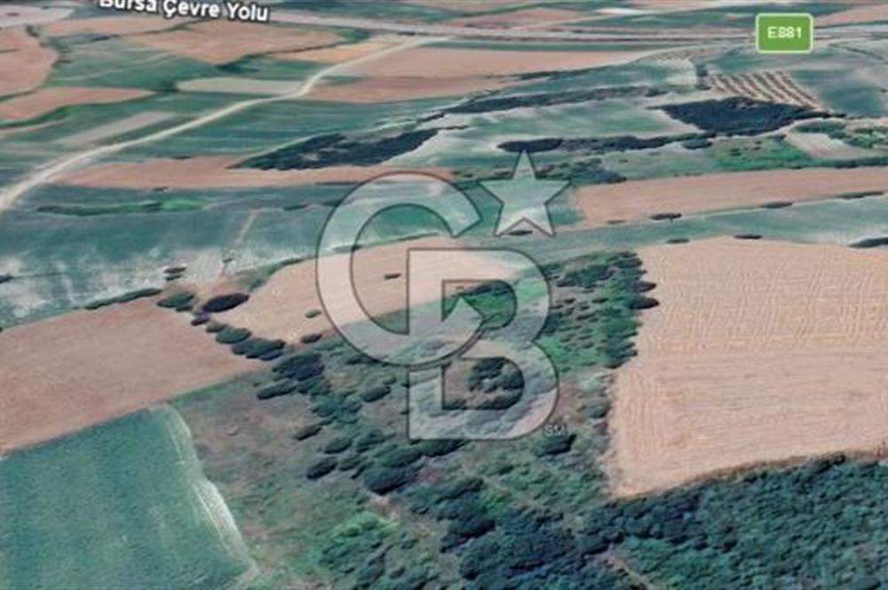 GÖKÇEKÖY'DE SATILIK TARLA | CB AMBIANCE