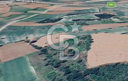GÖKÇEKÖY'DE SATILIK TARLA | CB AMBIANCE