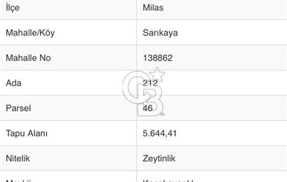 MİLAS SARIKAYADA SATILIK ZEYTİNLİLK