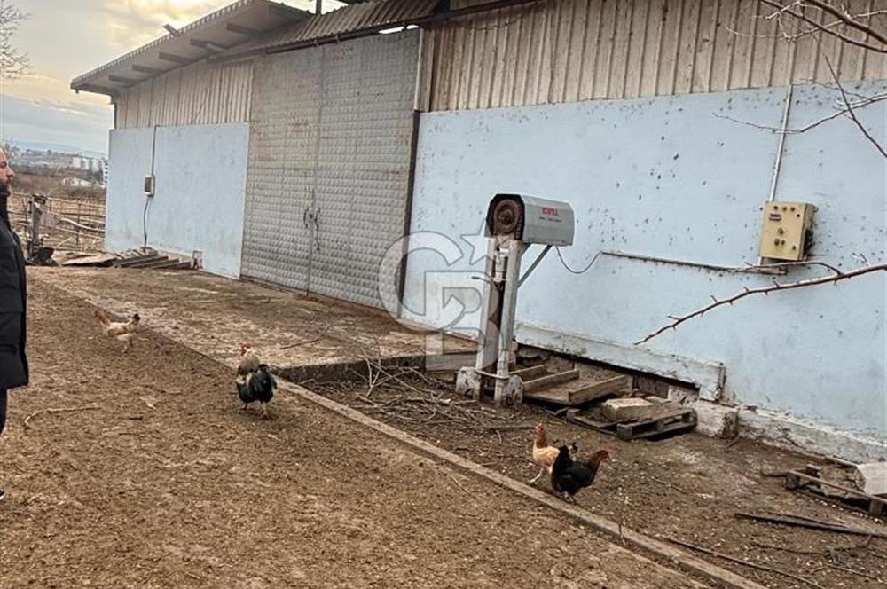 BURSA MUSTAFAKEMALPAŞA'DA AVRUPA STANDARTLARINDA SATILIK ÇİFTLİK