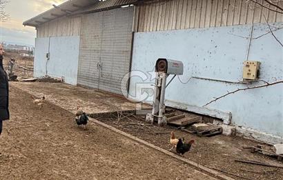 BURSA MUSTAFAKEMALPAŞA'DA AVRUPA STANDARTLARINDA SATILIK ÇİFTLİK