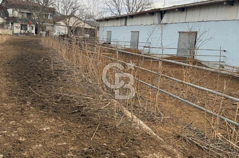 BURSA MUSTAFAKEMALPAŞA'DA AVRUPA STANDARTLARINDA SATILIK ÇİFTLİK