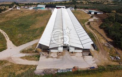 KARACEBEY'DE RUHSATLI AVRUPA STANDARTLARINDA SATILIK ÇİFTLİK