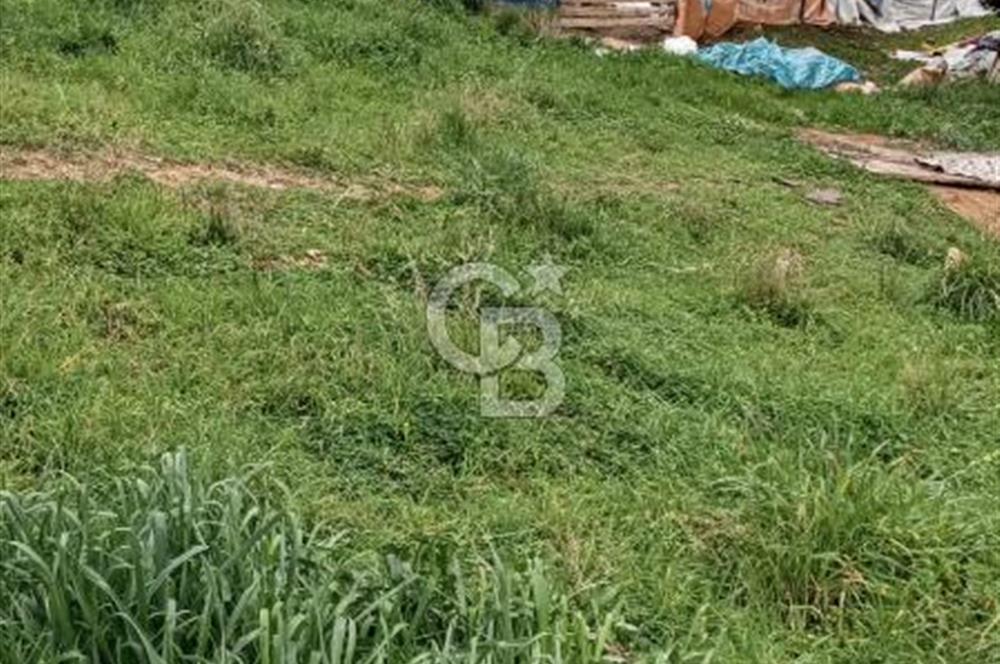 ÇAYIROVANIN EN GÜZİDE YERİNDEN  SATILIK ARSA