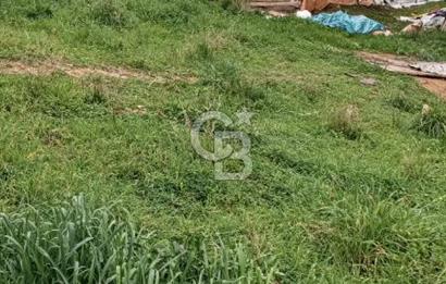 ÇAYIROVANIN EN GÜZİDE YERİNDEN  SATILIK ARSA