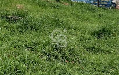 ÇAYIROVANIN EN GÜZİDE YERİNDEN  SATILIK ARSA