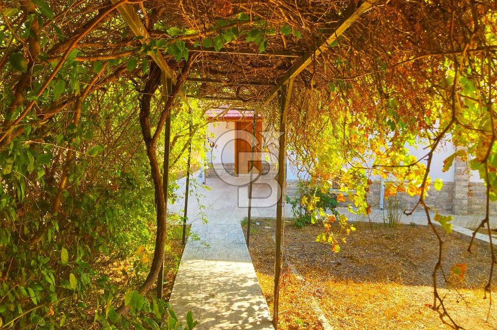 Satılık Palamutbükü Ful Deniz Manzaralı Denize 650m Müstakil Ev