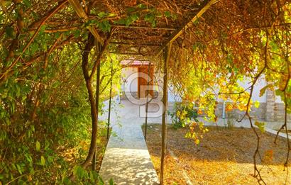 Satılık Palamutbükü Ful Deniz Manzaralı Denize 650m Müstakil Ev