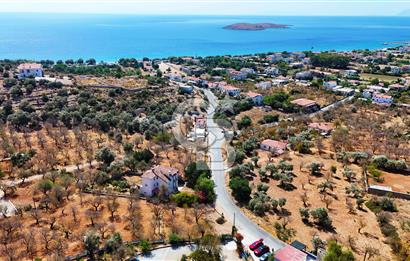 Satılık Palamutbükü Ful Deniz Manzaralı Denize 650m Müstakil Ev