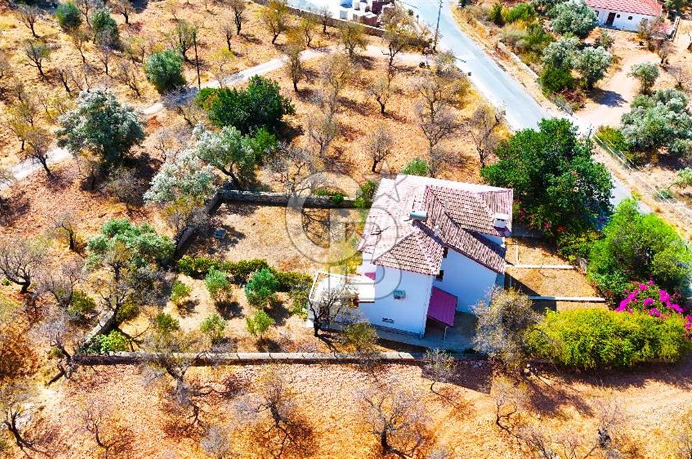 Satılık Palamutbükü Ful Deniz Manzaralı Denize 650m Müstakil Ev