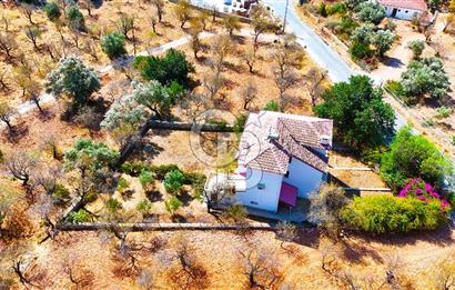 Satılık Palamutbükü Ful Deniz Manzaralı Denize 650m Müstakil Ev