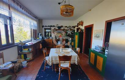 Urla Denizli Mahallesi’nde Satılık Müstakil Taş Villa | Havuzlu, Bahçeli, Hamamlı