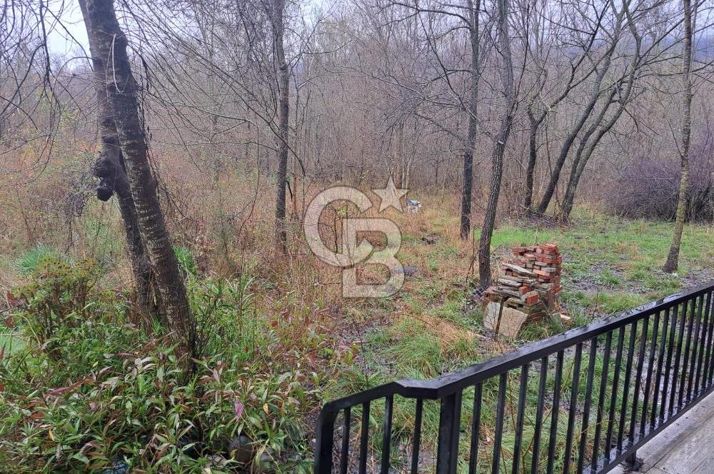 DOĞANIN ORTASINDA HUZURLU VE SESSİZ YAŞAM