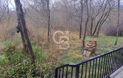 DOĞANIN ORTASINDA HUZURLU VE SESSİZ YAŞAM