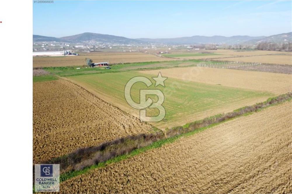 Körfez Çıraklıda Merkezi Konumda Satılık 5.551m² Müstakil Parsel