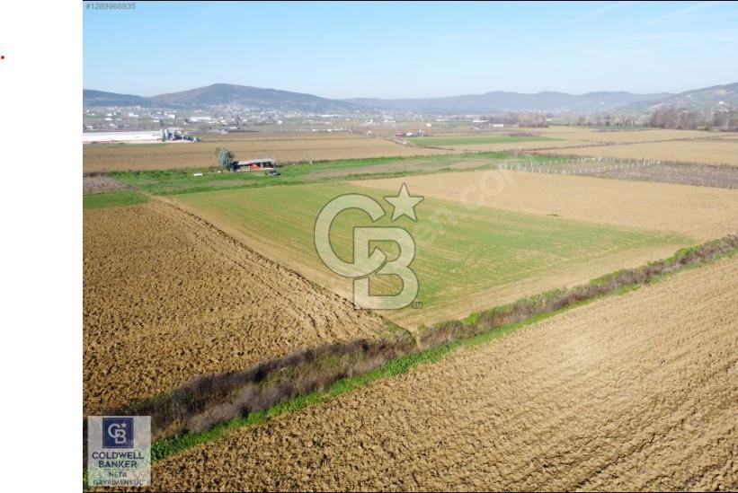 Körfez Çıraklıda Merkezi Konumda Satılık 5.551m² Müstakil Parsel