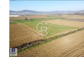 Körfez Çıraklıda Merkezi Konumda Satılık 5.551m² Müstakil Parsel - 3 - 333362