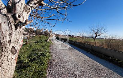 FOÇA GERENKÖY KEMAL ATATÜRK MAHALLESİ’NDE TEK TAPULU 8.675 m²  