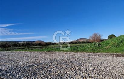 FOÇA GERENKÖY KEMAL ATATÜRK MAHALLESİ’NDE TEK TAPULU 8.675 m²  