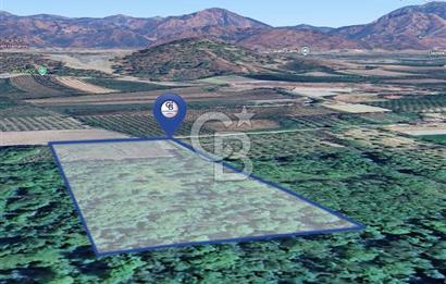 DOĞANIN ORTASINDA HUZURLU VE SESSİZ YAŞAM