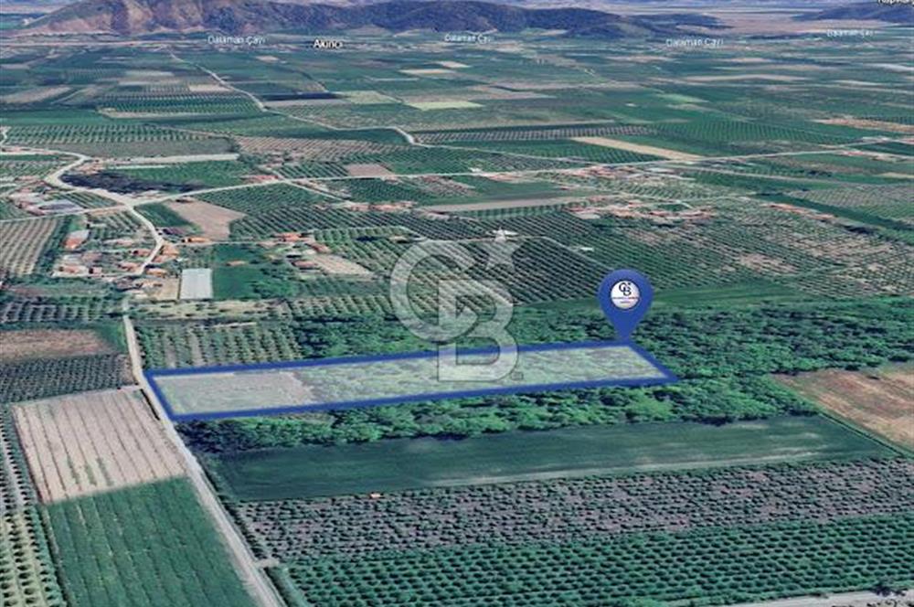 DOĞANIN ORTASINDA HUZURLU VE SESSİZ YAŞAM