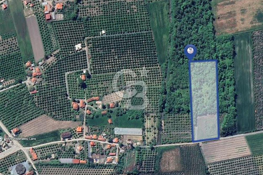 DOĞANIN ORTASINDA HUZURLU VE SESSİZ YAŞAM