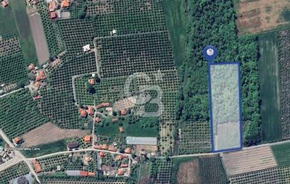 DOĞANIN ORTASINDA HUZURLU VE SESSİZ YAŞAM