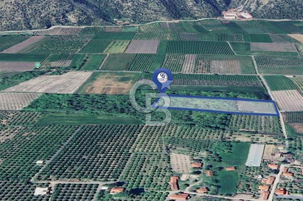 DOĞANIN ORTASINDA HUZURLU VE SESSİZ YAŞAM