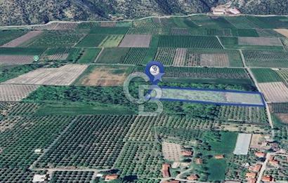 DOĞANIN ORTASINDA HUZURLU VE SESSİZ YAŞAM