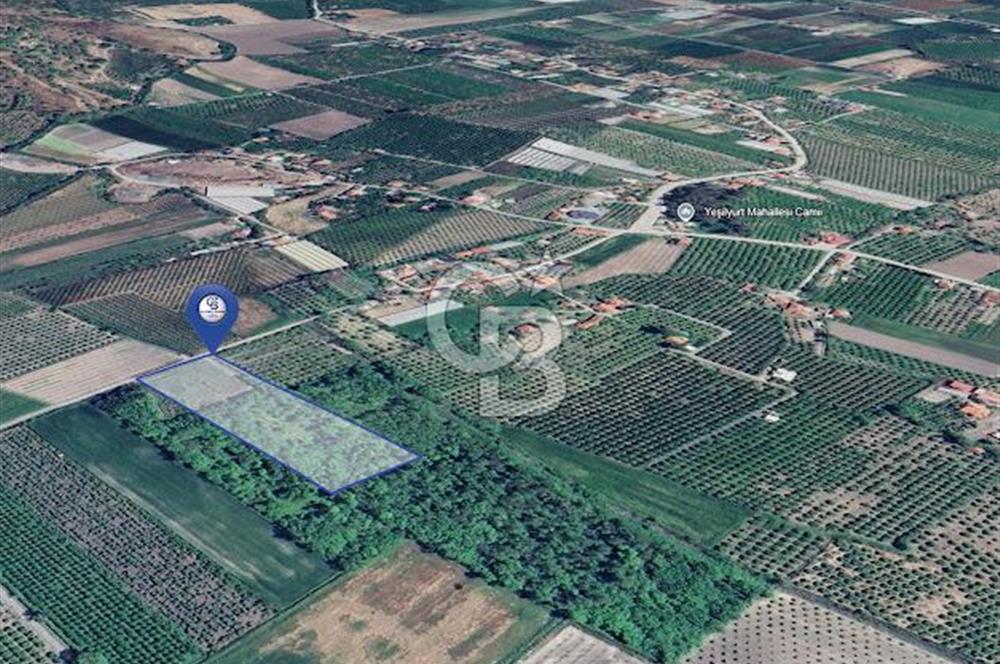 DOĞANIN ORTASINDA HUZURLU VE SESSİZ YAŞAM