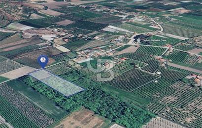 DOĞANIN ORTASINDA HUZURLU VE SESSİZ YAŞAM