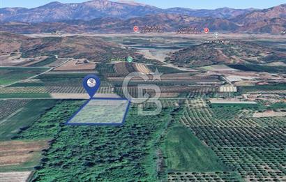 DOĞANIN ORTASINDA HUZURLU VE SESSİZ YAŞAM