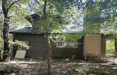 DOĞANIN ORTASINDA HUZURLU VE SESSİZ YAŞAM